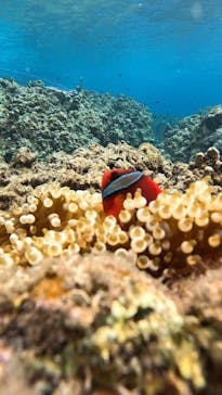  マリンショップHAPPYに投稿された画像（2025/2/20）