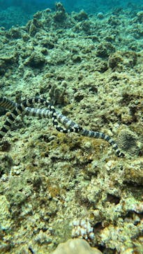  マリンショップHAPPYに投稿された画像（2025/2/20）