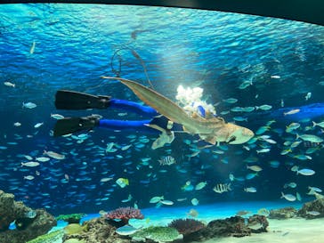 サンシャイン水族館に投稿された画像（2025/2/20）