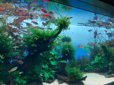 すみだ水族館に投稿された画像（2025/2/20）