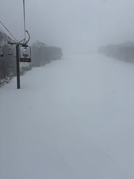 秋田八幡平スキー場に投稿された画像（2025/2/20）