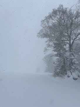 秋田八幡平スキー場に投稿された画像（2025/2/20）