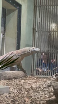 名古屋市東山動植物園に投稿された画像（2025/2/20）