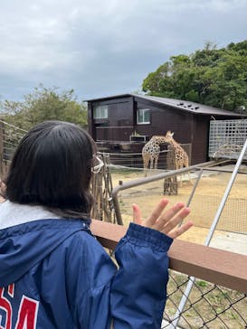 沖縄こどもの国に投稿された画像（2025/2/20）