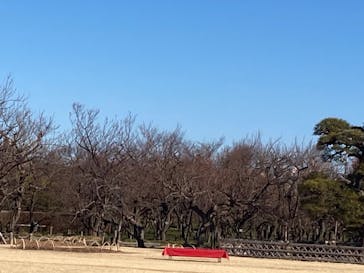 偕楽園本園に投稿された画像（2025/2/20）
