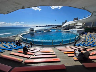 鴨川シーワールドに投稿された画像（2025/2/21）