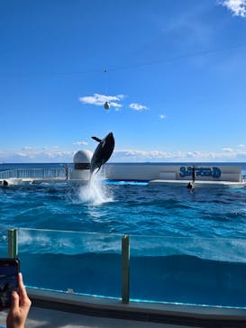 鴨川シーワールドに投稿された画像（2025/2/21）