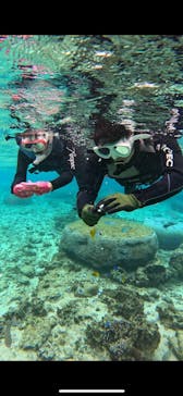 青の洞窟専門店　沖縄ダイビングショップ和に投稿された画像（2025/2/21）