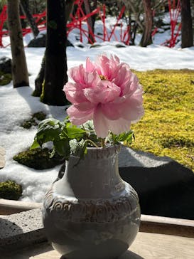 日本庭園　由志園に投稿された画像（2025/2/21）