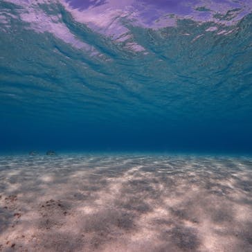 ちゃこたびに投稿された画像（2025/2/21）