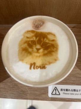 Cat Café MOFF コクーンシティさいたま新都心店に投稿された画像（2025/2/21）