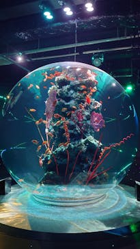 AQUARIUM × ART　atoaに投稿された画像（2025/2/21）