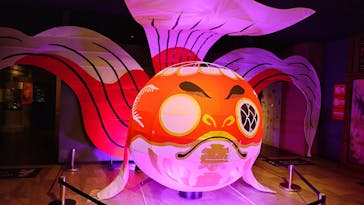 NARA KINGYO MUSEUMに投稿された画像（2025/2/21）