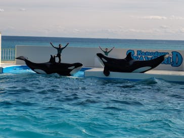 鴨川シーワールドに投稿された画像（2025/2/21）