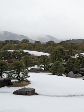 足立美術館に投稿された画像（2025/2/21）