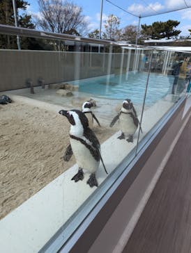 マリンワールド海の中道に投稿された画像（2025/2/21）