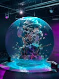 AQUARIUM × ART　atoaに投稿された画像（2025/2/21）