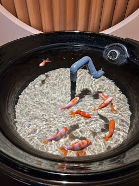 AQUARIUM × ART　atoaに投稿された画像（2025/2/21）