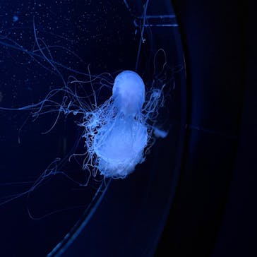 マリンワールド海の中道に投稿された画像（2025/2/21）