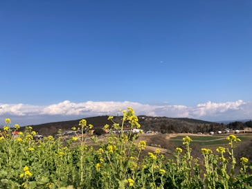 マザー牧場に投稿された画像（2025/2/21）