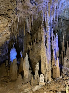 おきなわワールドに投稿された画像（2025/2/21）