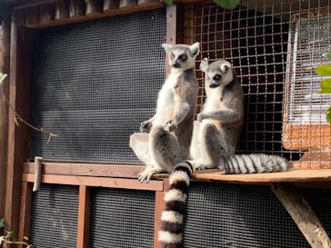 神戸どうぶつ王国に投稿された画像（2025/2/21）