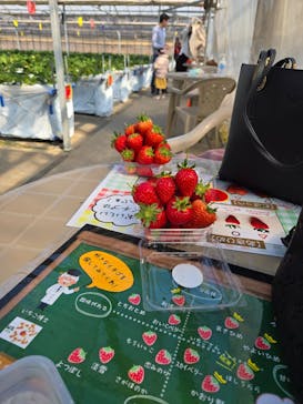 山万ユーカリファームに投稿された画像（2025/2/21）