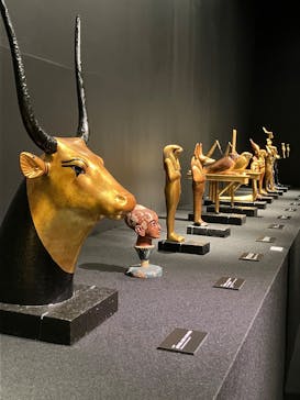 MYSTERY OF TUTANKHAMEN 体感型古代エジプト展に投稿された画像（2025/2/21）