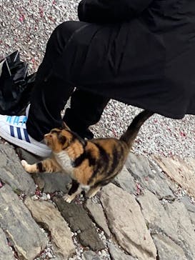 今帰仁城跡に投稿された画像（2025/2/21）