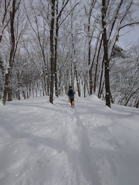 落倉バックカントリーフィールドに投稿された画像（2025/2/21）