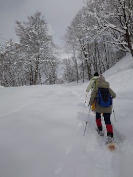 落倉バックカントリーフィールドに投稿された画像（2025/2/21）