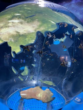 しながわ水族館に投稿された画像（2025/2/21）