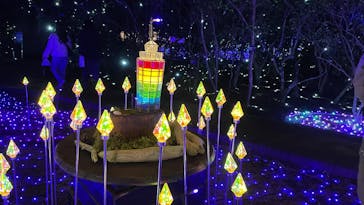 江の島シーキャンドル×新江ノ島水族館に投稿された画像（2025/2/21）