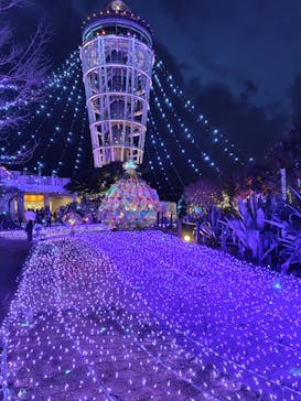 江の島シーキャンドルに投稿された画像（2025/2/21）