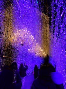 江の島シーキャンドルに投稿された画像（2025/2/21）