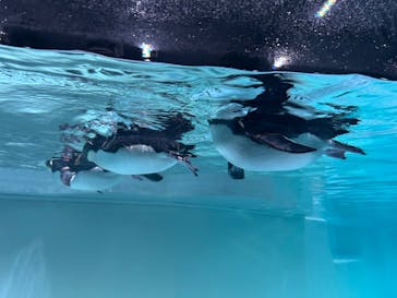 AOAO SAPPOROに投稿された画像（2025/2/21）