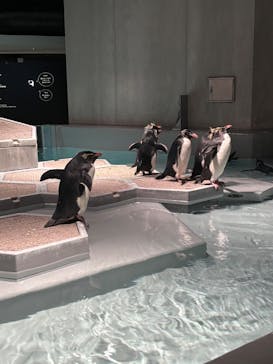 AOAO SAPPOROに投稿された画像（2025/2/21）