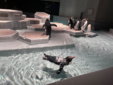 AOAO SAPPOROに投稿された画像（2025/2/21）