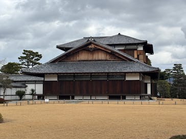 元離宮二条城に投稿された画像（2025/2/21）