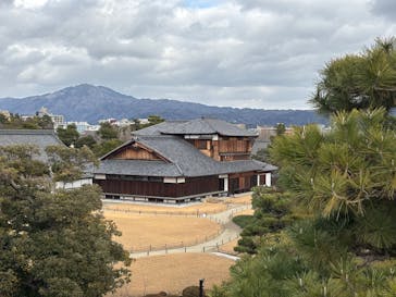 元離宮二条城に投稿された画像（2025/2/21）