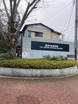 彫刻の森美術館に投稿された画像（2025/2/21）