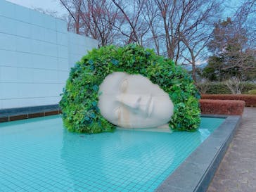 彫刻の森美術館に投稿された画像（2025/2/21）