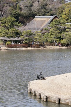 三溪園に投稿された画像（2025/2/21）