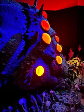 金曜ロードショーとジブリ展　三重展に投稿された画像（2025/2/21）