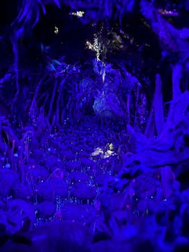 金曜ロードショーとジブリ展　三重展に投稿された画像（2025/2/21）