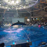 マクセル アクアパーク品川に投稿された画像（2025/2/22）