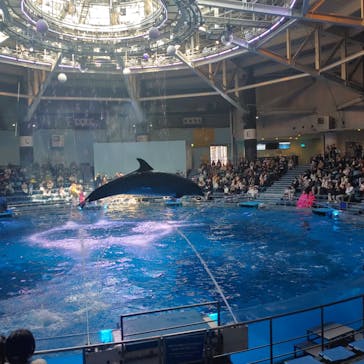 マクセル アクアパーク品川に投稿された画像（2025/2/22）