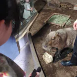 マクセル アクアパーク品川に投稿された画像（2025/2/22）