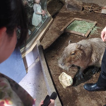 マクセル アクアパーク品川に投稿された画像（2025/2/22）
