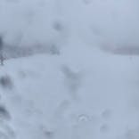 志賀高原マウンテンリゾートに投稿された画像（2025/2/22）